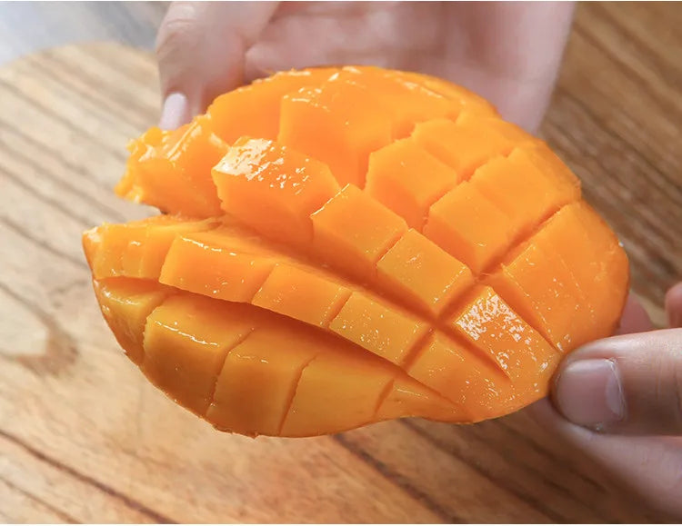 MangoMaster 3-in-1 Slicer & Corer