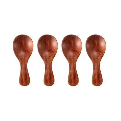 Set of 4 Wooden Condiment Spoons