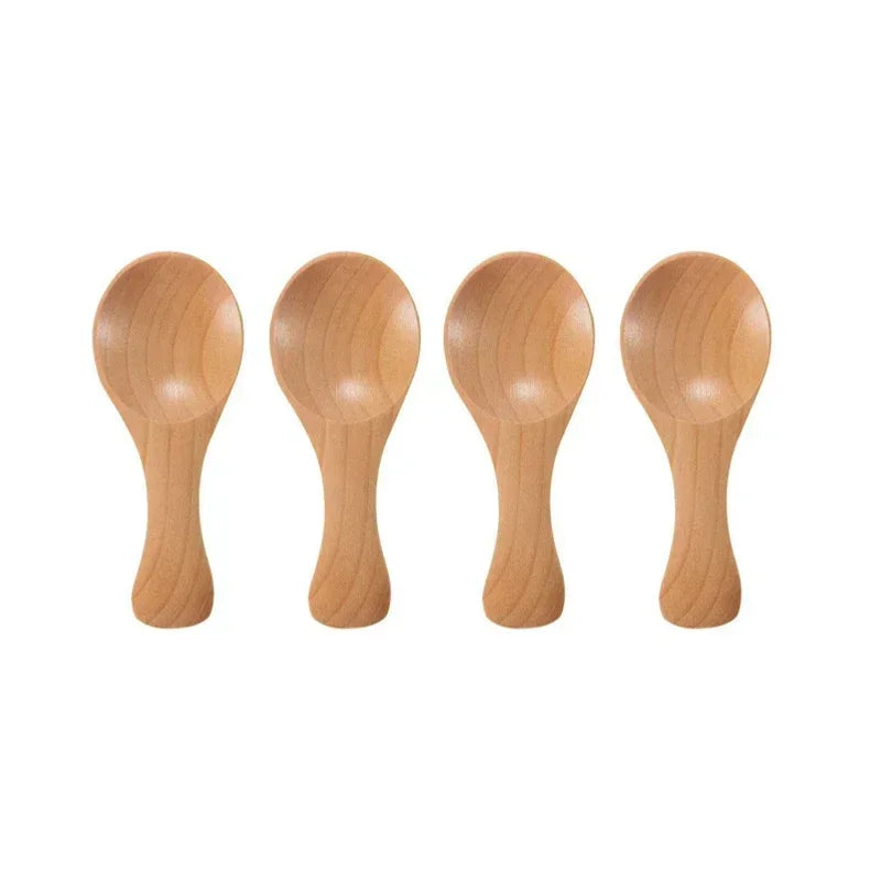Set of 4 Wooden Condiment Spoons