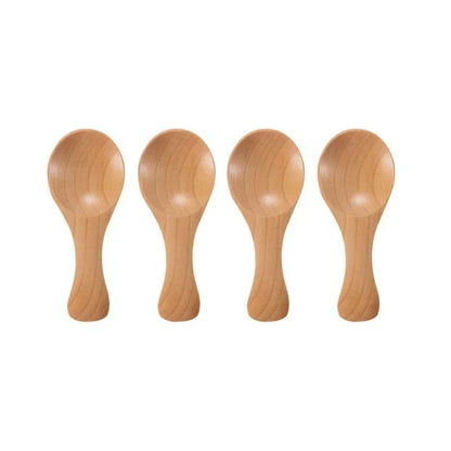 Set of 4 Wooden Condiment Spoons