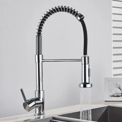 Matte Black Pull-Down Kitchen Faucet