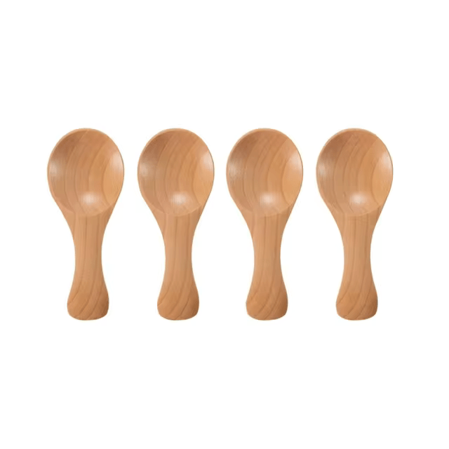 Set of 4 Wooden Condiment Spoons