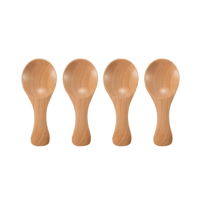 Set of 4 Wooden Condiment Spoons